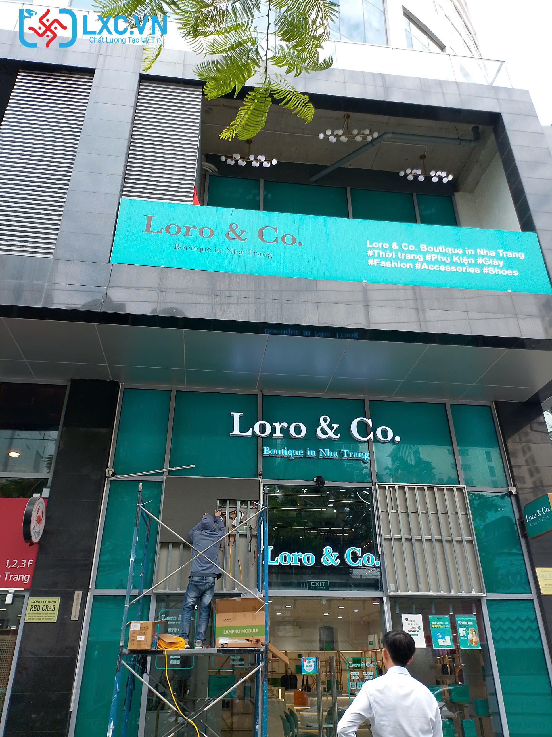 DỰ ÁN LORO & CO CÙNG LXC – KHI TÂM HUYẾT GÓP PHẦN KIẾN TẠO THƯƠNG HIỆU
